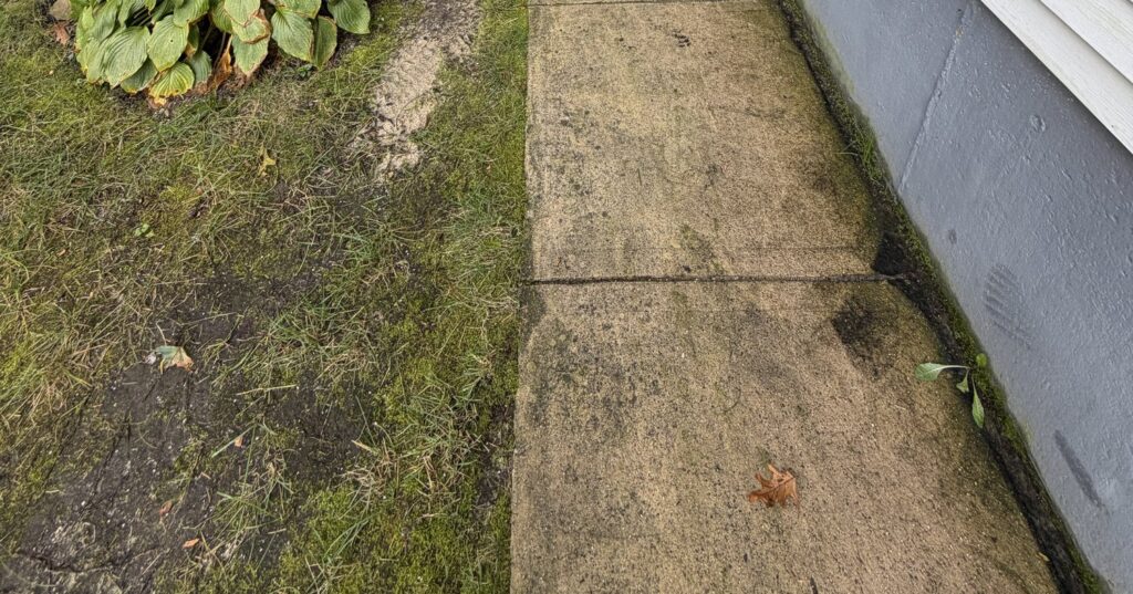 repair a cracked stoop